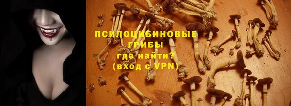 спиды Гусь-Хрустальный