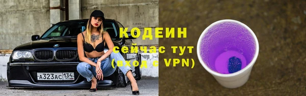 прущий лед Гусев